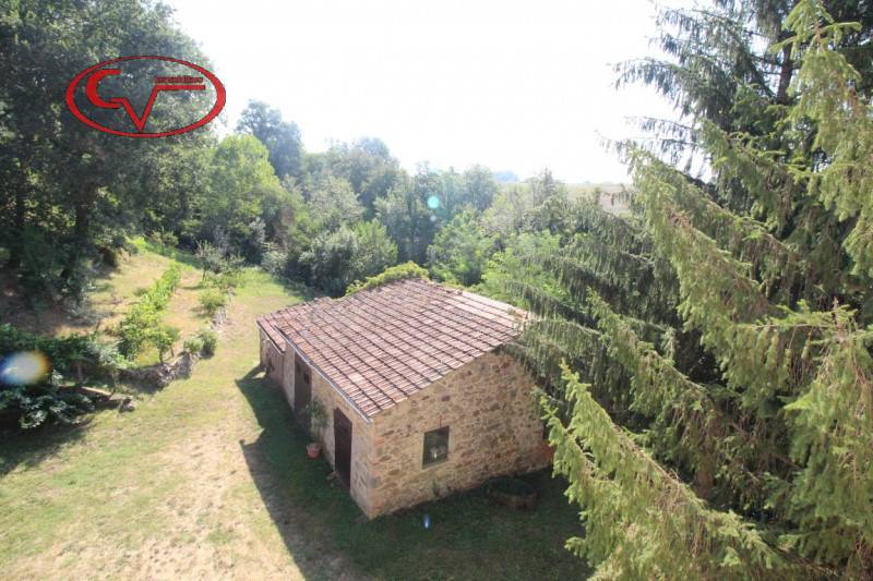 Rustico Campagna, Terranuova Bracciolini