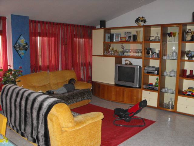  - foto 3