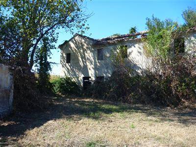 Rustico, San Costanzo