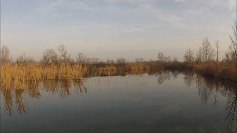 Altro Via Vittorio Veneto, Casale sul Sile