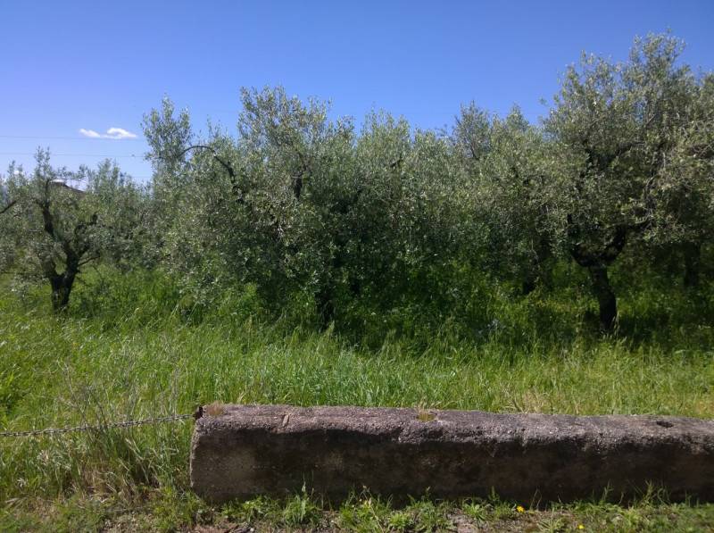 Altro Via Alessandro Volta, Eboli