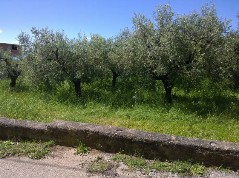  - foto 3
