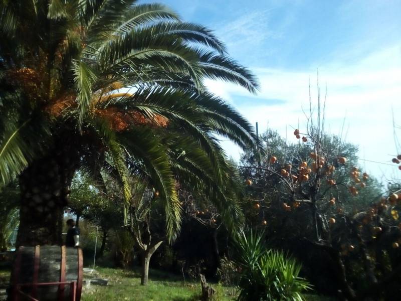  - foto 8