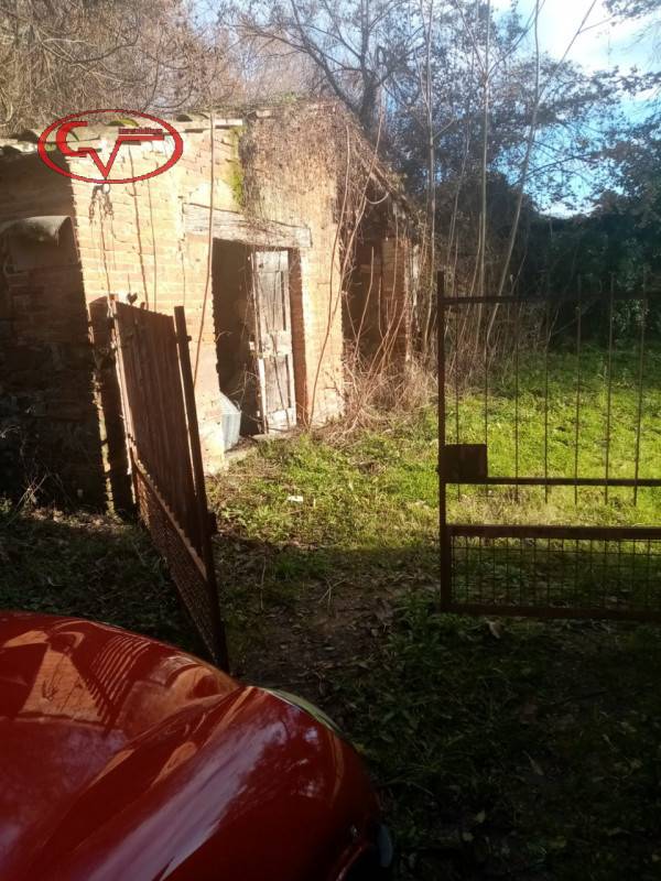  - foto 7