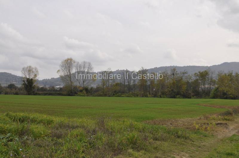Terreno agricolo Macchie, Castiglione del Lago