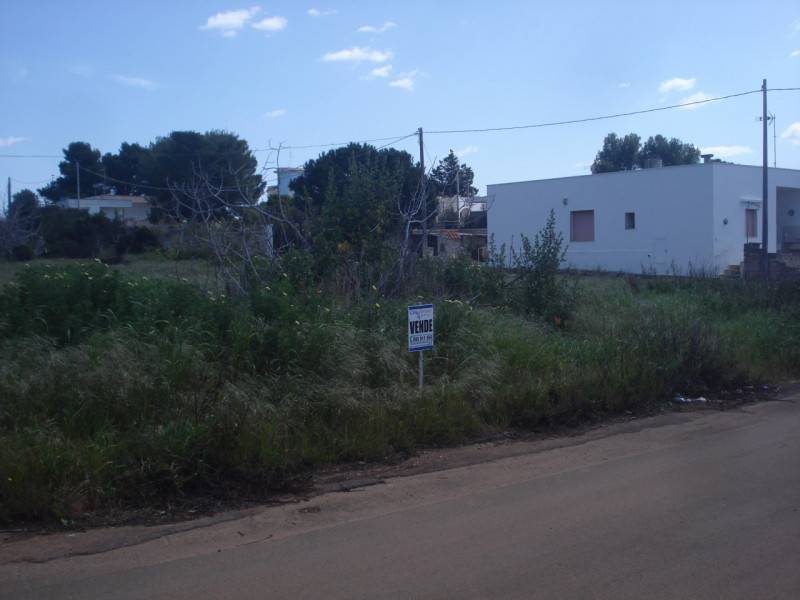  - foto 4