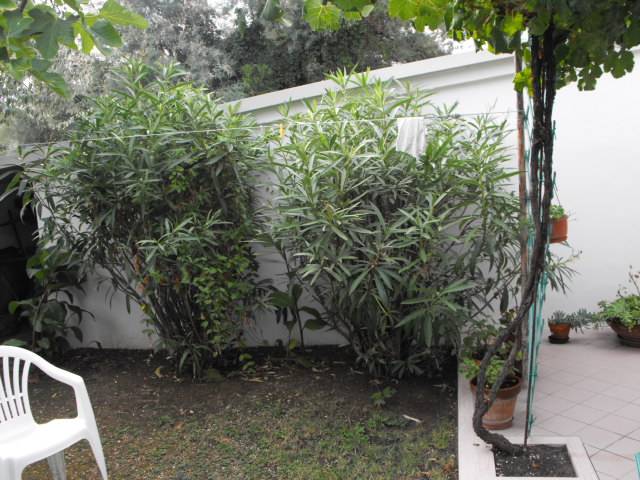  - foto 10