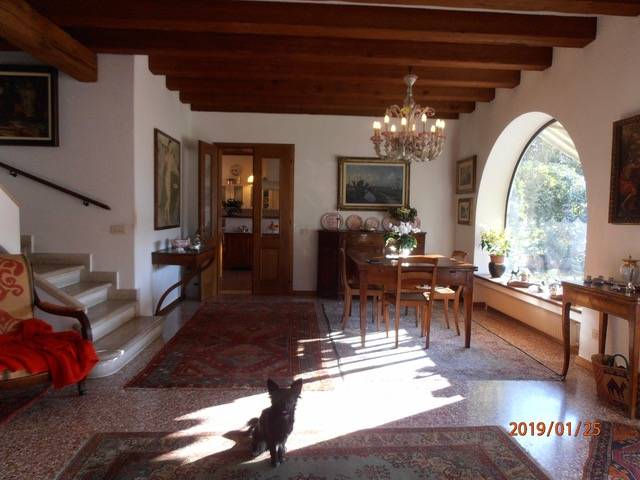  - foto 6