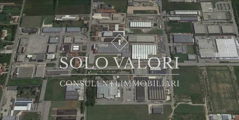 Altro Piazza Vittorio Emanuele II, 31, Rovigo