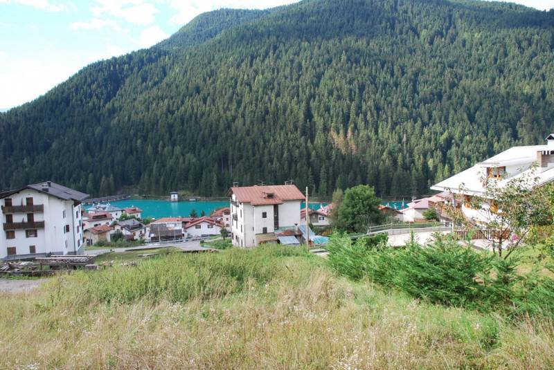 Terreno edificabile Cella, Auronzo di Cadore