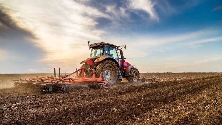 Terreno agricolo Via Roma Ovest, 13, Ospedaletto Euganeo