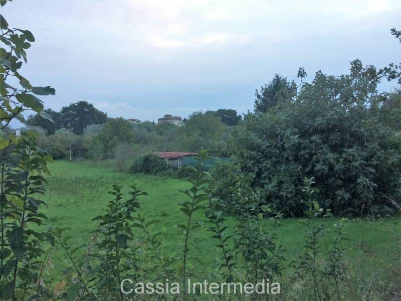  - foto 3