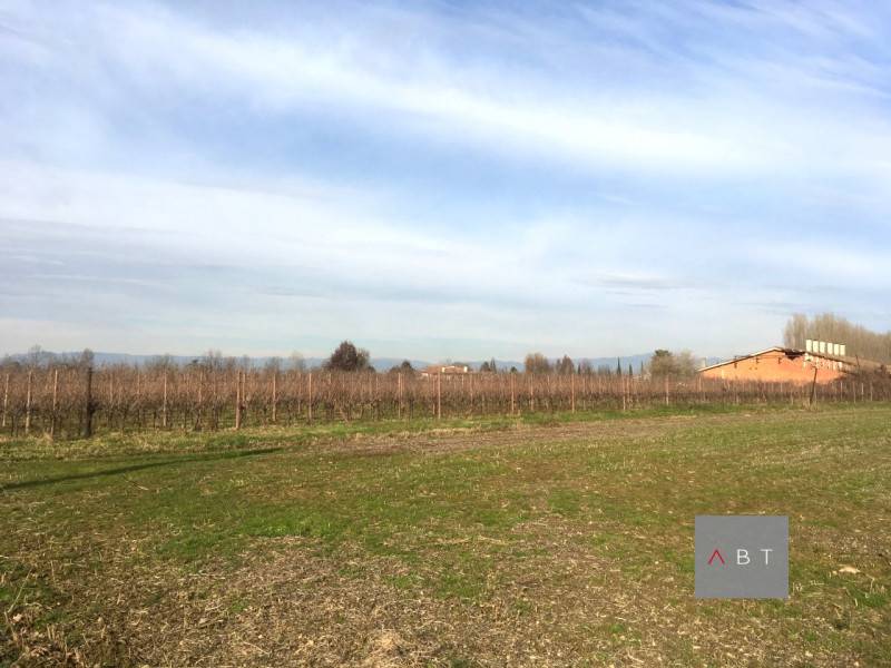 Altro Villa del Conte - Centro, Villa del Conte