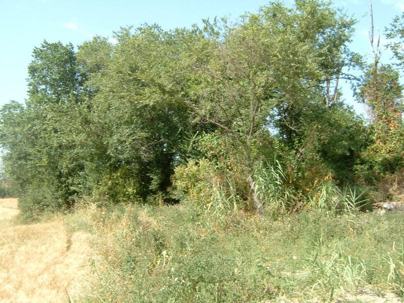  - foto 2
