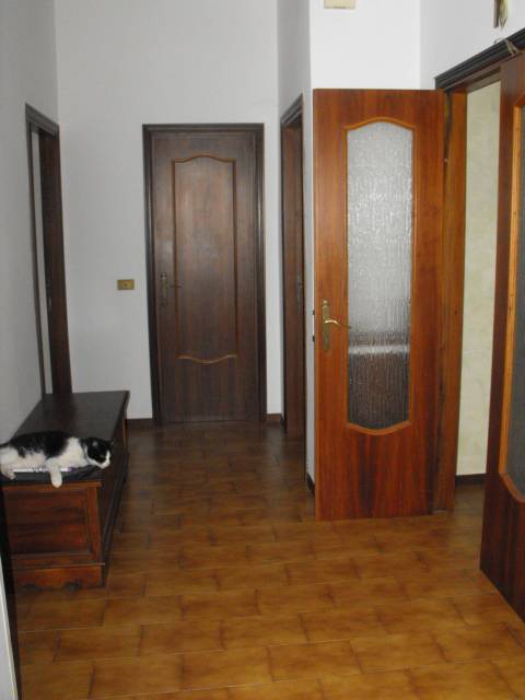 Casa indipendente Via XX Settembre, Rosora
