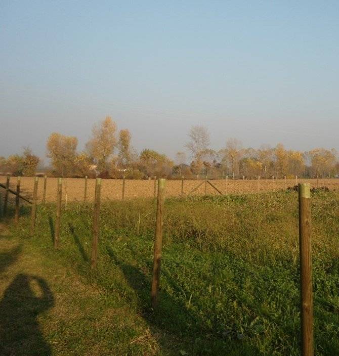  - foto 3