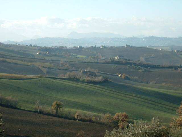 Rustico Via Aldo Moro, Ostra