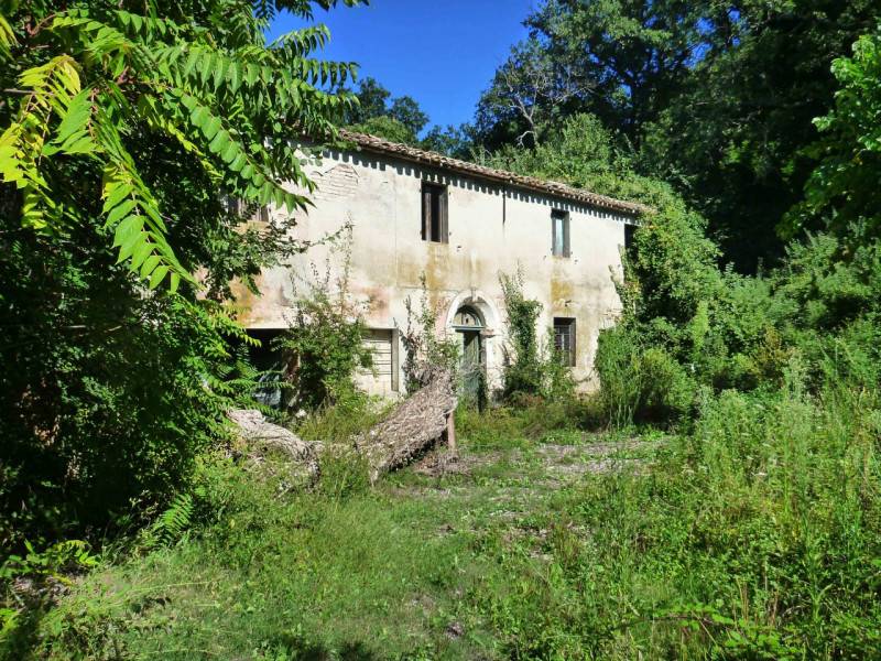 Rustico Piazza Perticari, San Costanzo