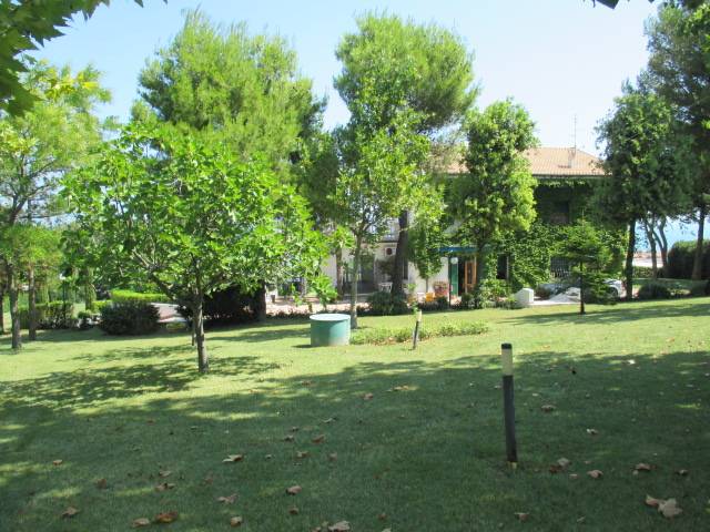 - foto 10