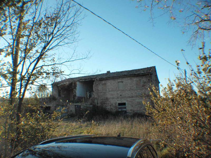 Rustico Vaccarile, Ostra