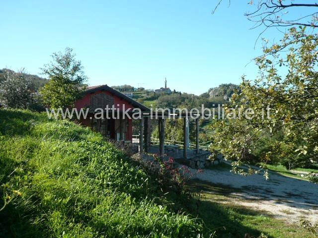  - foto 4