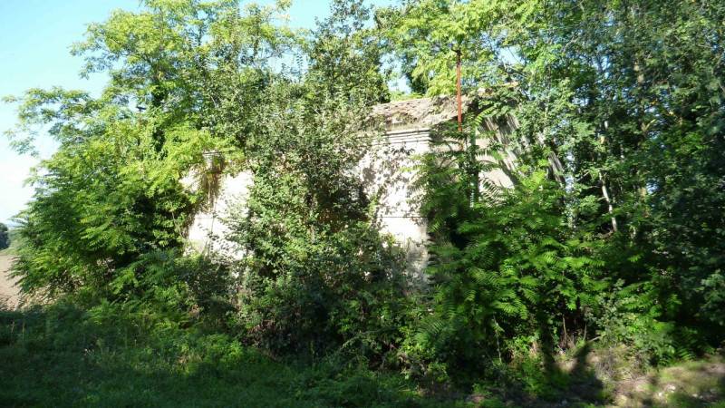 Rustico Strada San Costanzo Torrette, 87, San Costanzo