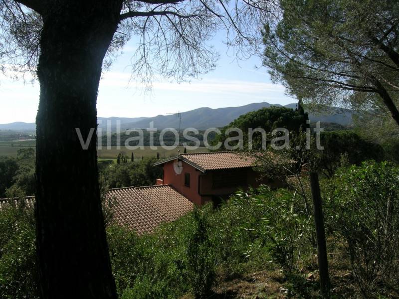  - foto 5