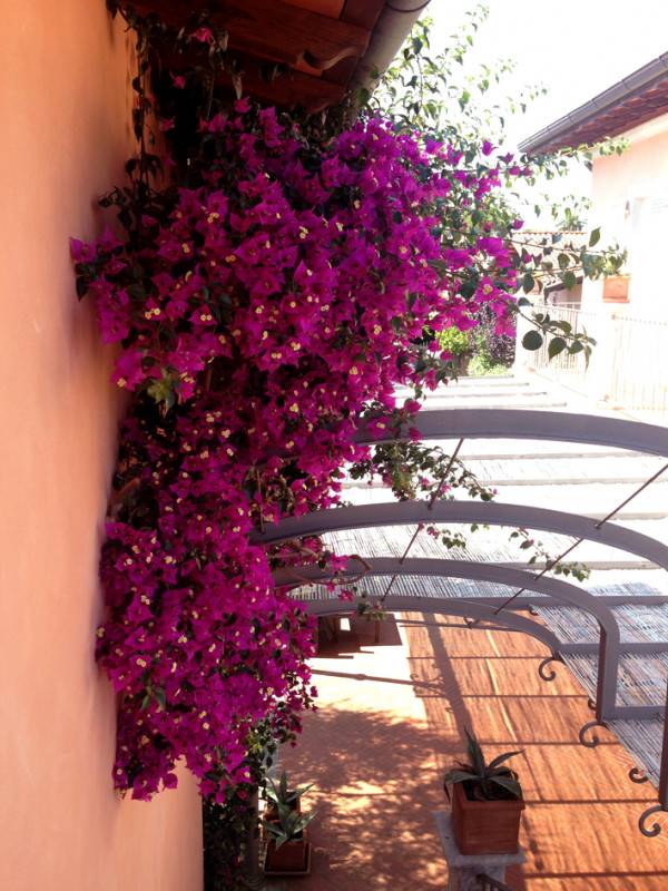  - foto 3