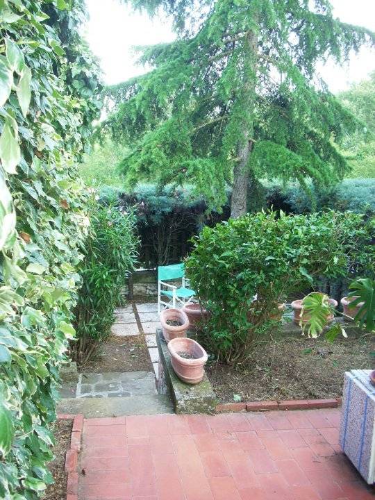  - foto 8
