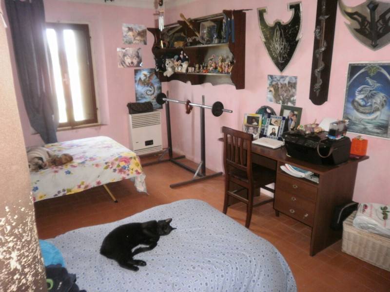  - foto 10