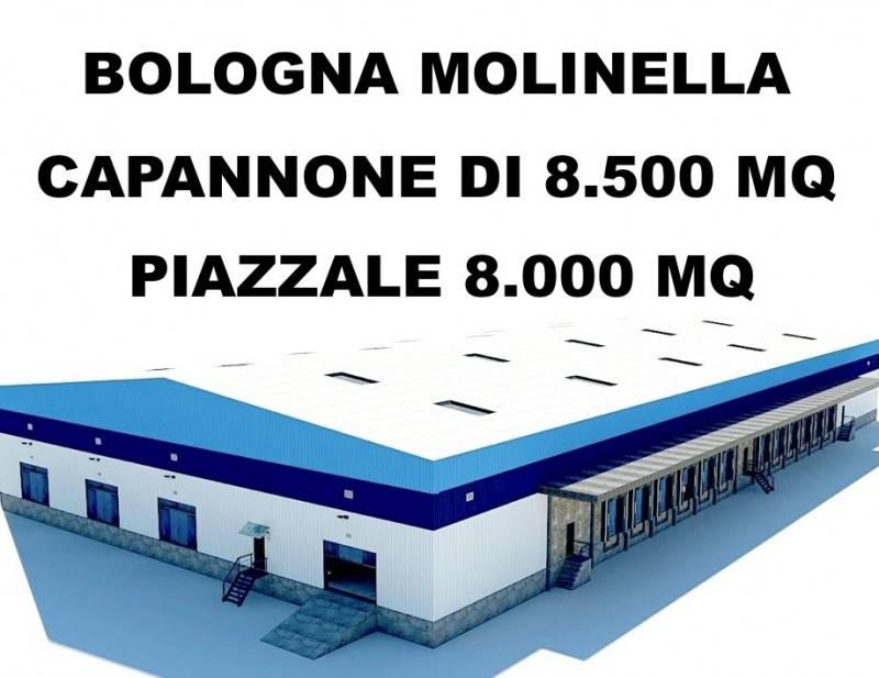 Capannone Via Provinciale Circonvallazione, 101, Molinella