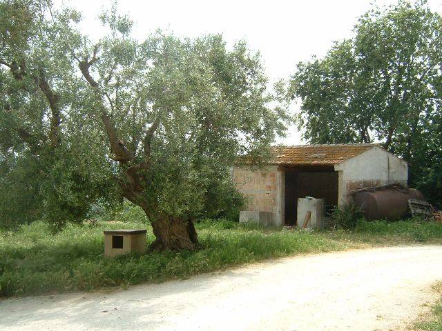  - foto 10