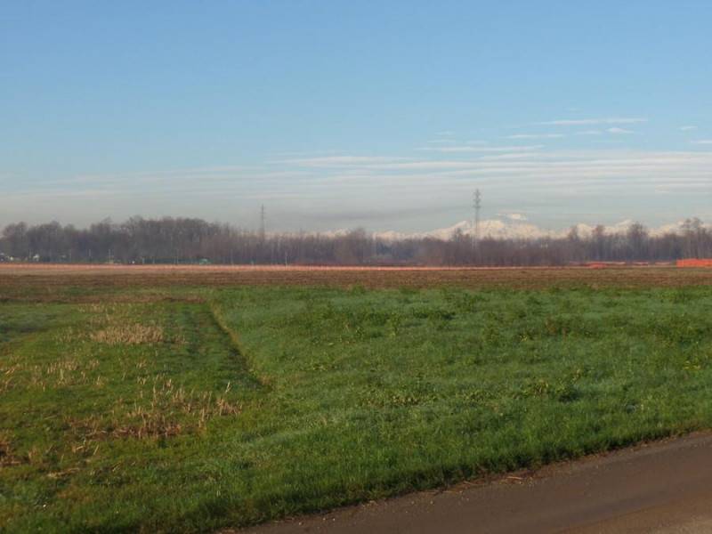 Terreno agricolo Palugana, Ospedaletto Euganeo