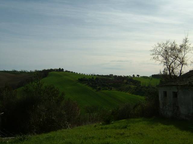  - foto 2