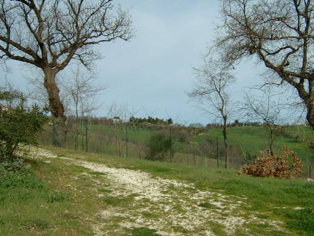  - foto 3