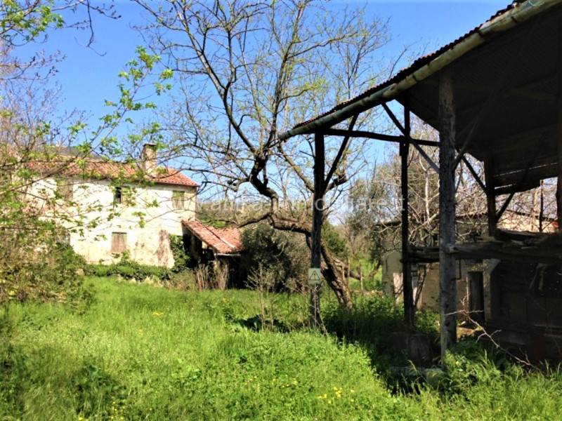  - foto 2