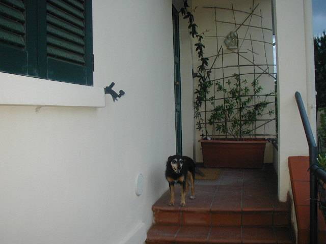  - foto 10