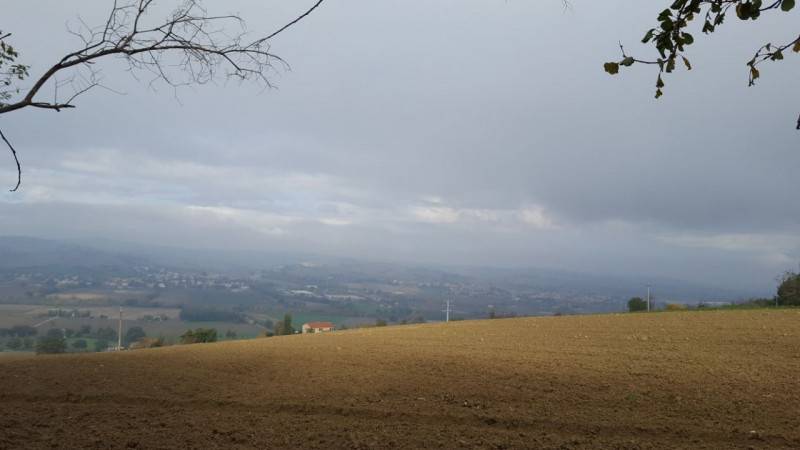 Casa Bi - Trifamiliare Viale Dante, 5, Corinaldo