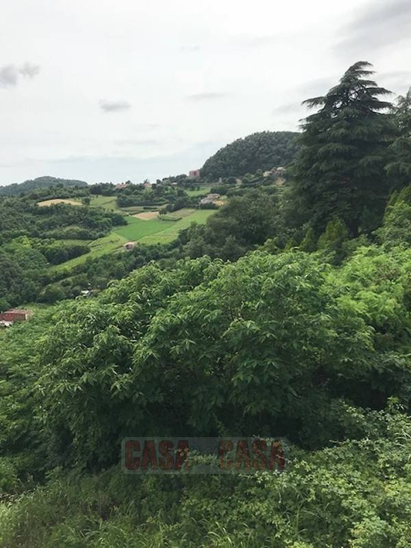  - foto 5