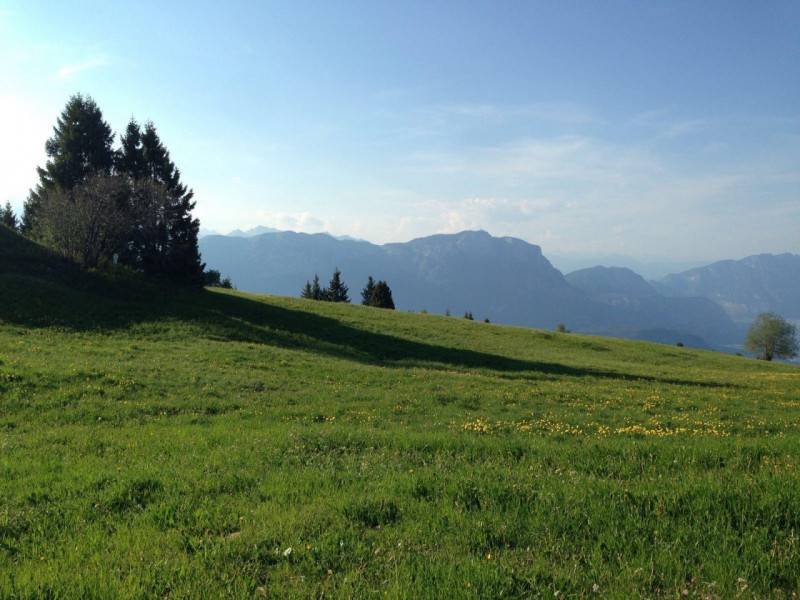 Altro Via Damiano Chiesa, Caldonazzo