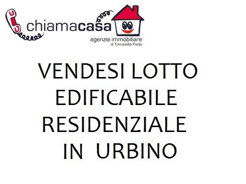 Altro Trasanni, Urbino