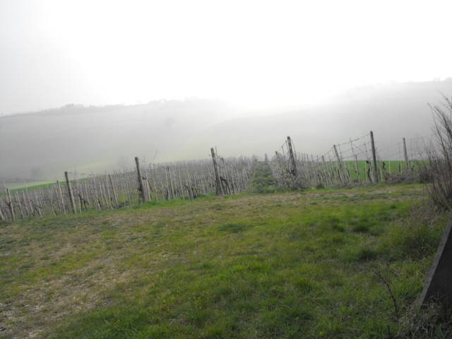  - foto 9