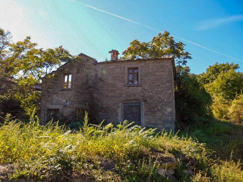 Rustico, Borgo Pace
