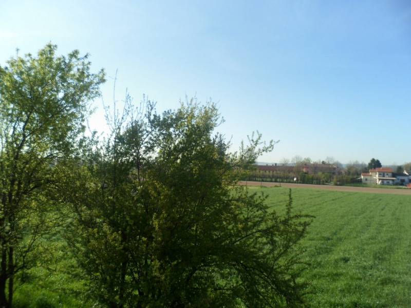  - foto 10