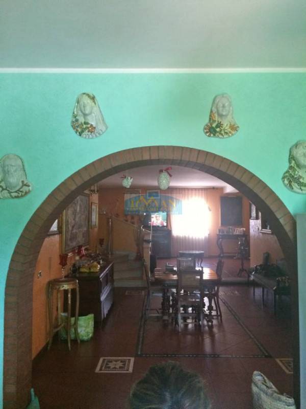  - foto 10