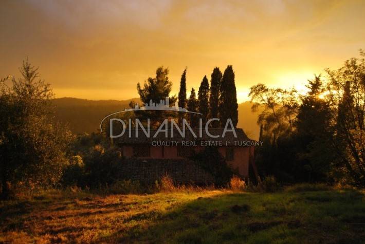 Rustico, Palaia