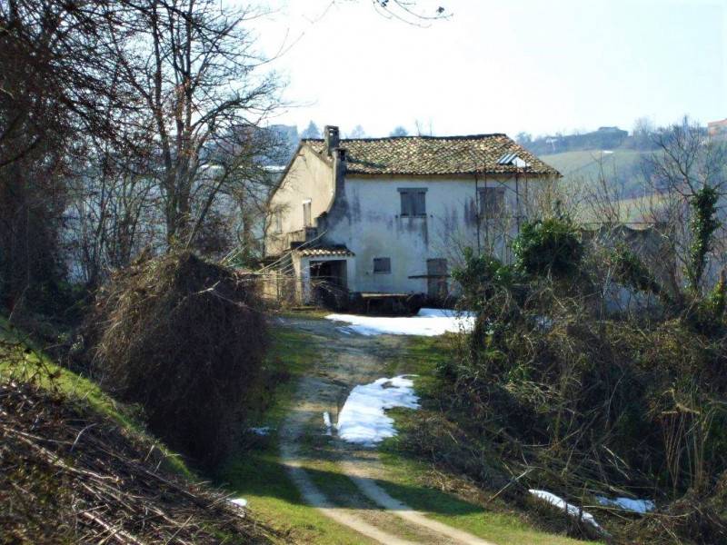 Rustico Gallo, Petriano