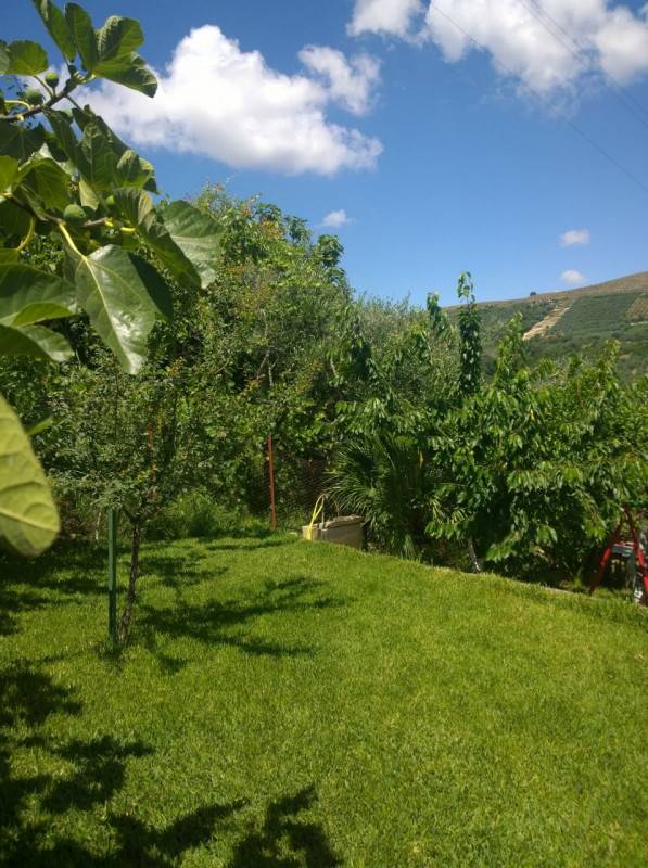  - foto 3