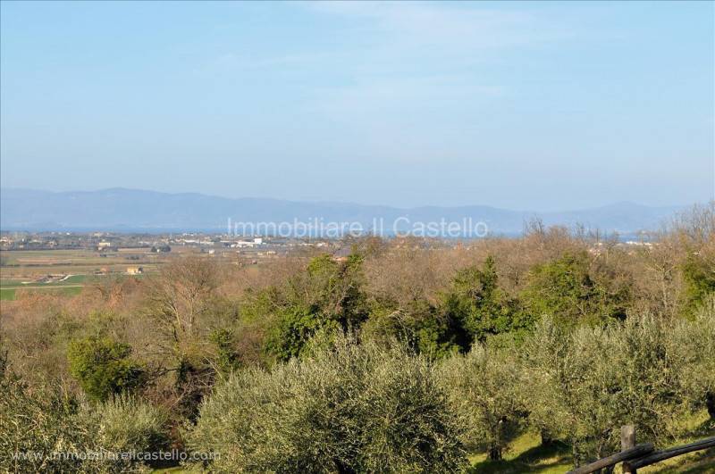 Casa Bi - Trifamiliare Paciano, Paciano