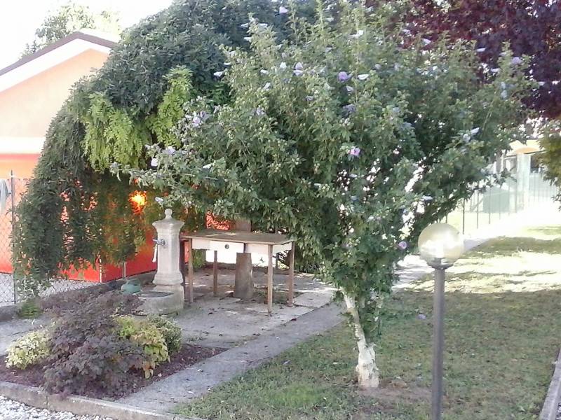  - foto 10
